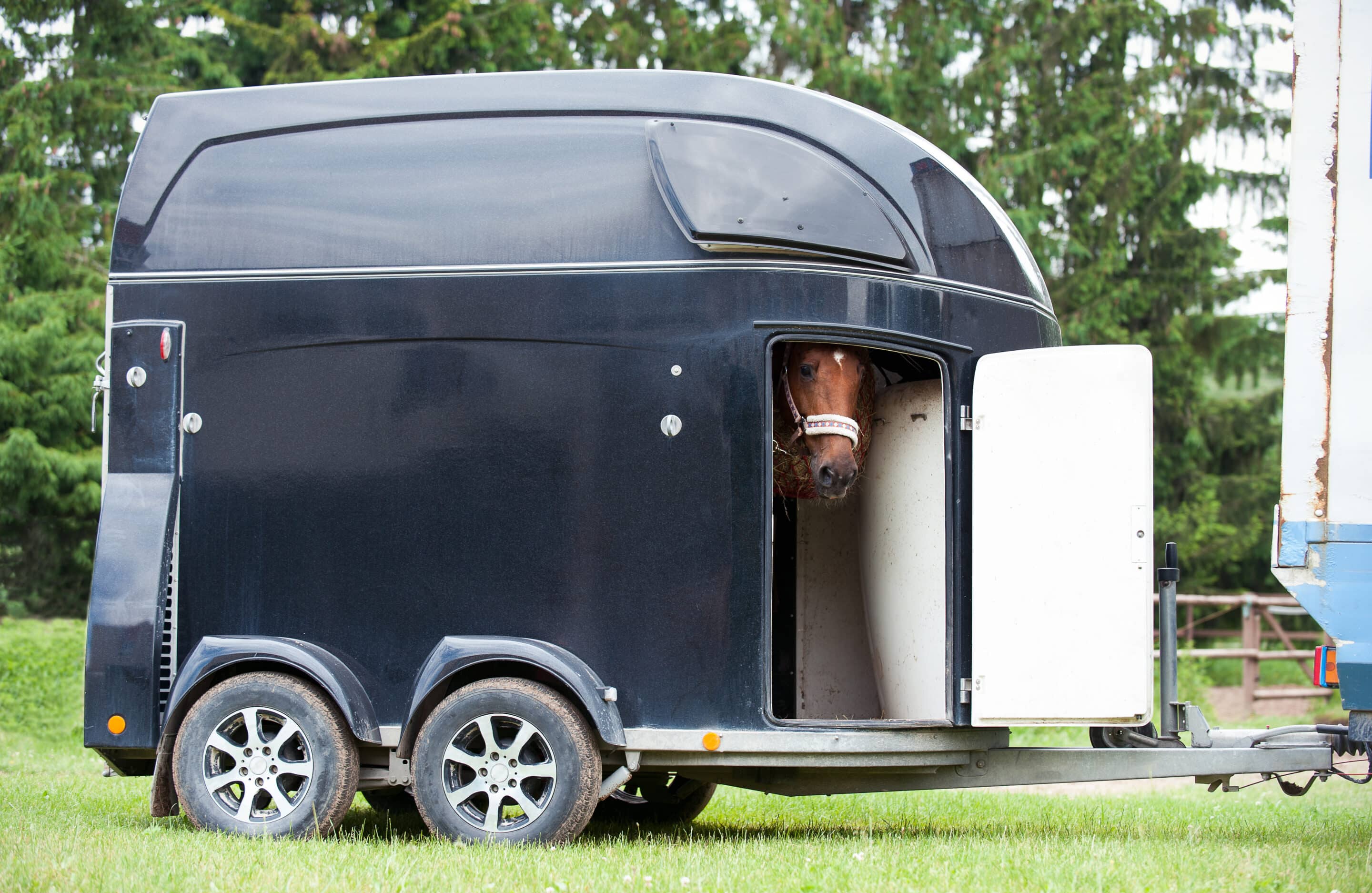 Hestetrailer Skal din heste trailer til service